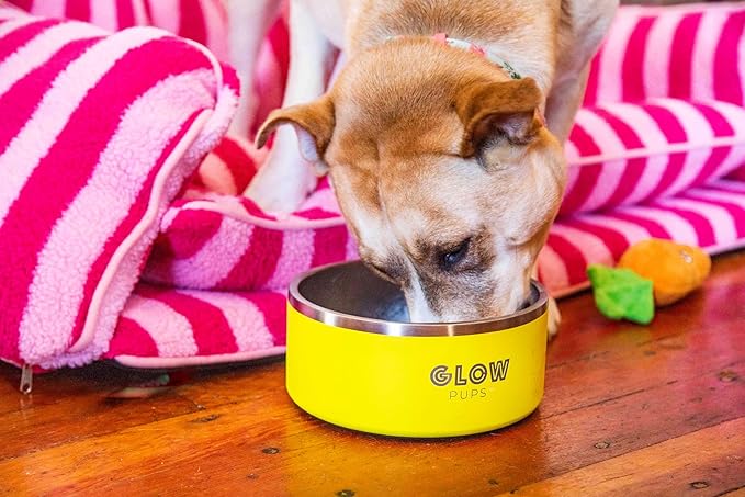 Dog Bowl, Non-Slip Stainless Steel Pet Bowl with Vacuum Insulated Design, Keeps Water Cool, Easy to Clean, Modern Style, 64 oz, Yellow