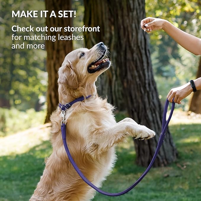 CollarDirect Rolled Leather Dog Collar, Soft Padded Round Puppy Collar, Handmade Genuine Leather Collar Dog Small Large Cat Collars 13 Colors (11-14 Inch, Purple Smooth)