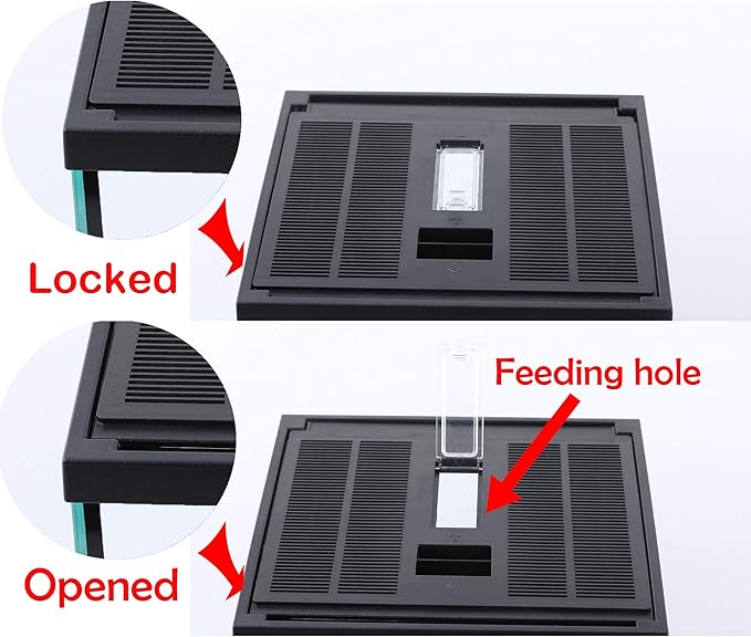 crapelles Black Small Vertical Insect GlassTerrarium, 7.8x7.8x10.8'' Reptile Tank, for Tarantula Larvae Caterpillar Frog Snail Spider Hermit Crab Habitat Container House Cricket Breeding Box