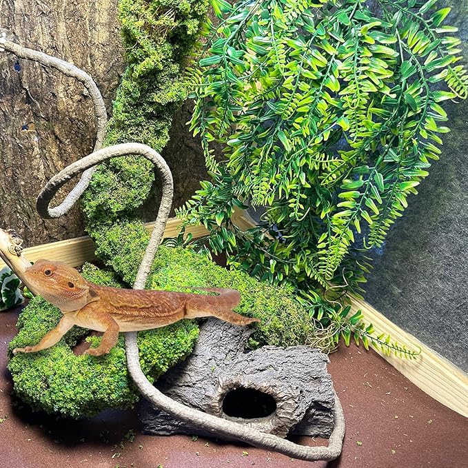 BNOSDM Reptile Plants,Flexible Rainforest Vines with Moss,Bendable Jungle Climbing Vines,Terrarium Artificial Plants Decor for Bearded Dragon,Hermit Crab,Snake,Geckos,Chameleon,Lizard