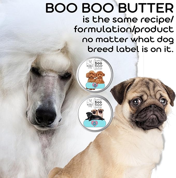 English Toy Spaniel Boo Boo Butter, 4-Ounce