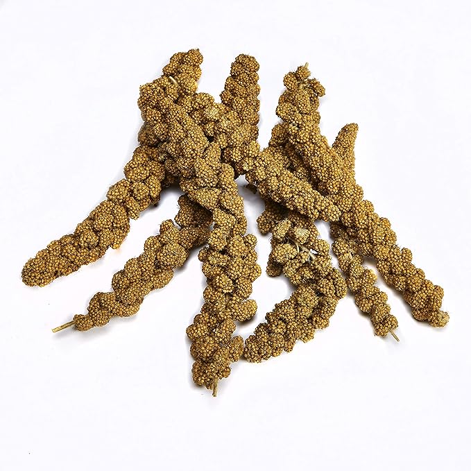 Kaytee Spray Millet Treat for Pet Birds, 3 Ounce