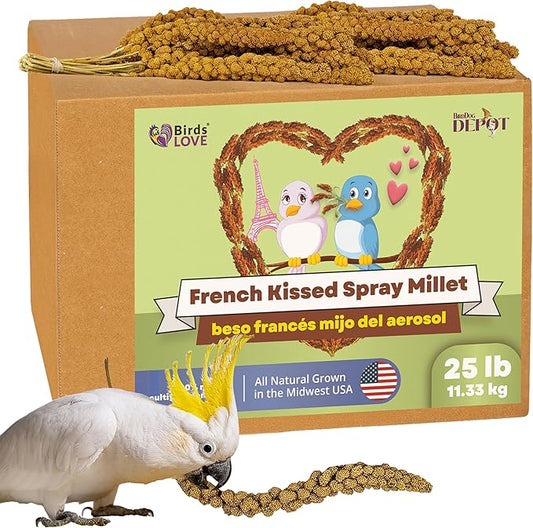 Birds LOVE French Kissed Spray Millet for Birds - Parakeets, Cockatiels, Lovebirds, Finches, Budgies, Canaries, Cockatoos - Natural & Healthy Bird Millet - Parakeet Food & Treats for all Parrots 25lbs