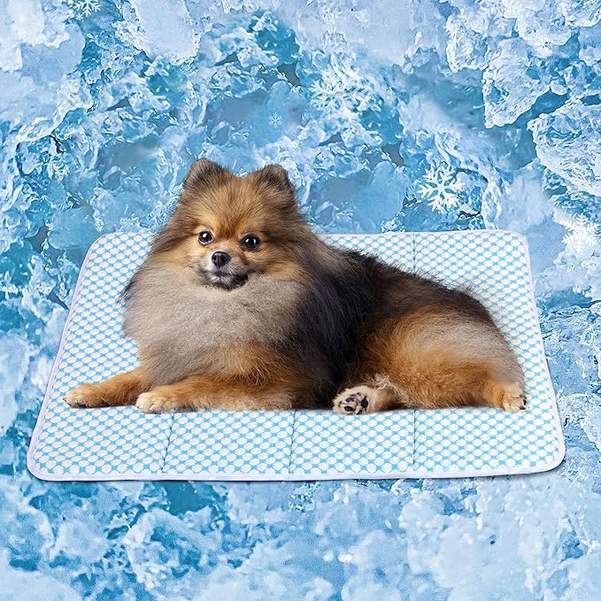 Dog Cooling Mat for Small Dogs - 24x18 Orthopedic Memory Foam Pet Pad for Summer, QMAX>0.5, Washable Premium Comfort Crate Pad for Your Furry Companion, Blue