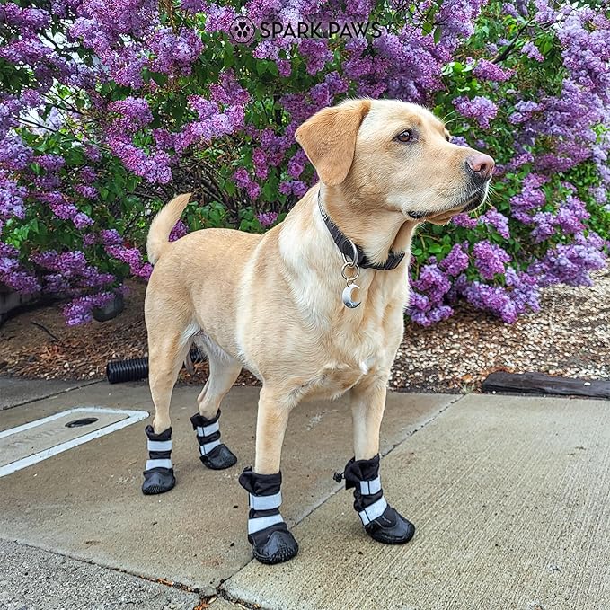 Spark Paws Dog Shoes, Waterproof Dog Boots for Medium to Large Dogs, Non Slip, Breathable Dog Booties and Paw Protectors - 4PCS Doggie Hiking Boots with Reflective Straps - Black, Size 6