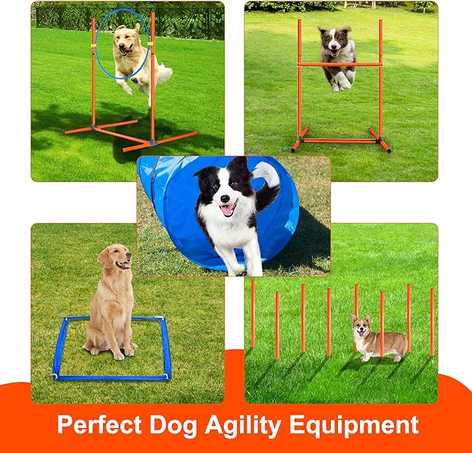 Dog Agility Training Equipment, Obstacle Agility Training Starter Kit for Doggie, Including Tunnel, 27 Weave Poles, Adjustable Hurdle, Jump Ring, Pause Box and Carrying Bag(Blue,L)