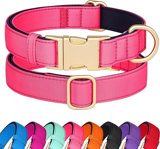 Didog Soft Padded Dog Collars for Medium Dogs, Colorful and Durable Dog Collar with Quick Release Buckle, Light and Breathable for Daily Walking, Pink, M