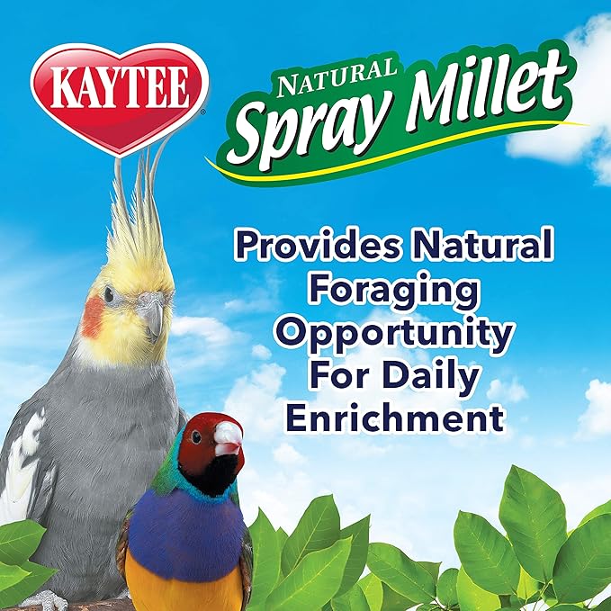 Kaytee Spray Millet Treat for Pet Birds, 3 Ounce