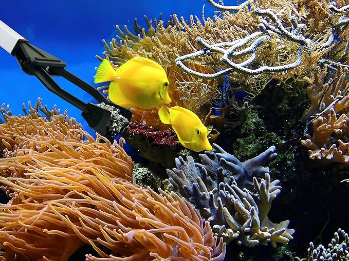 EZPIK 27" Extra Long Tweezers for Aquarium - Grabber Tool for Aquascaping - Aquarium Tongs Extra Long for Grabbing in Deepest Tanks - Saltwater Fish Feeding Tongs - Fish Tank Tweezers for Coral Reef