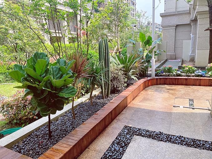 5 lbs Polished Black Pebbles for Indoor Plants, 0.8-1.2 Inch Decorative Black River Rocks for Plants Aquarium Planter Vase Fillers Landscaping and Garden Black Stones