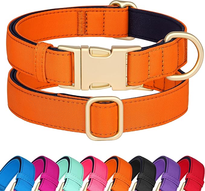 Didog Soft Padded Dog Collars for Small Dogs, Colorful and Durable Dog Collar with Quick Release Buckle, Light and Breathable for Daily Walking, Orange, S