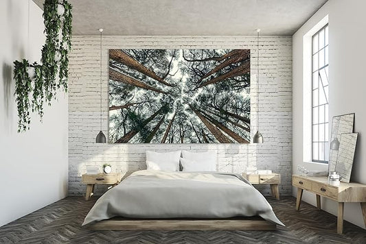 Nature Wall Art Prints - Ocean Forest Mountain Lake Canvas Landscapes - Small to Extra Large Living Room Bedroom Kitchen Bathroom Décor (Trees and Sky, 20L" x 30W")