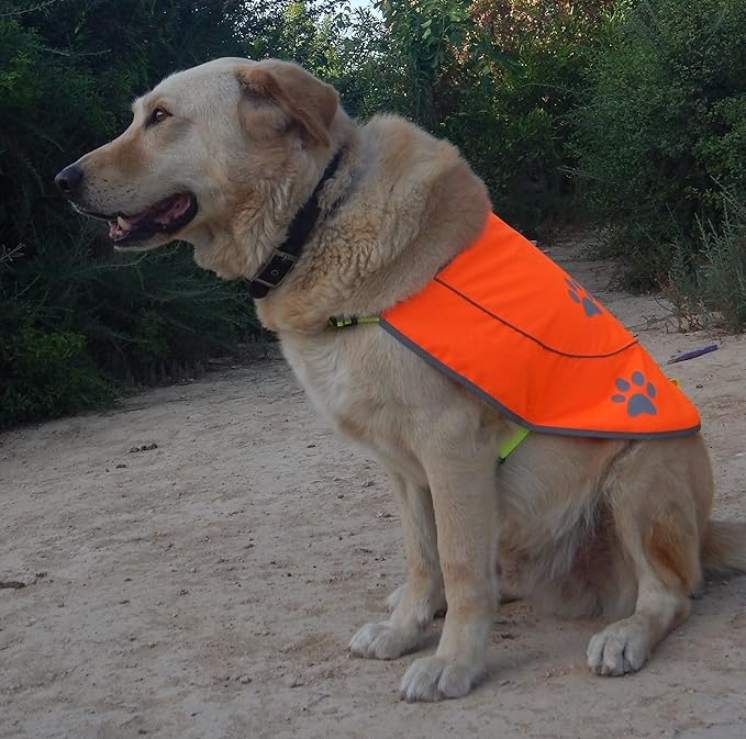 Dog Reflective Vest - Comfortable Jacket Safety Hunting, High Visibility for Dogs with Elastic Straps and Clasp Closure- Orange,X- Large