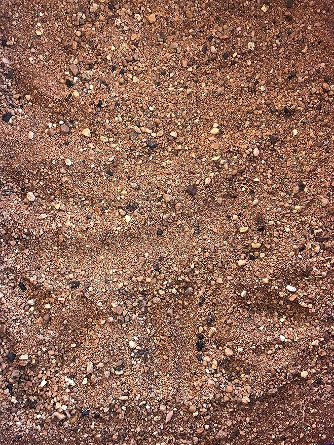 Australian Desert Dragon Habitat 20lb Substrate for Bearded Dragons and Other Lizards, Red (DESERT020)