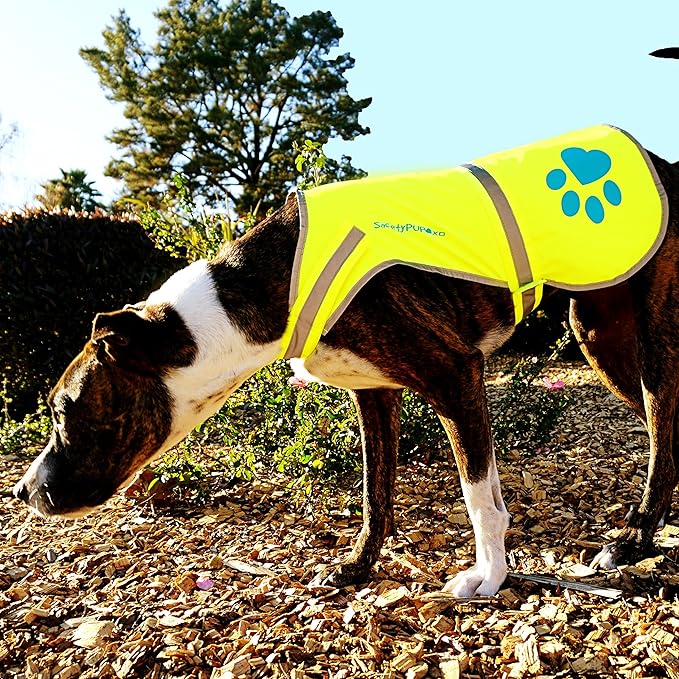 Dog Reflective Vest – Hi-Vis Fluorescent Visibility That Helps to Safeguard Your Pet On/Off Leash in Urban & Rural Areas (Yellow, X-Small)